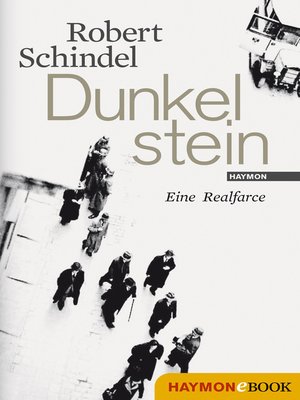 cover image of Dunkelstein
